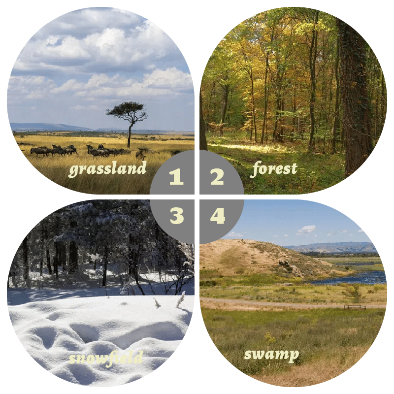 Camouflage Pop-Up Hunting Blin – Hunting & Outdoor Supplies Carterton Reviews recenzja i cena