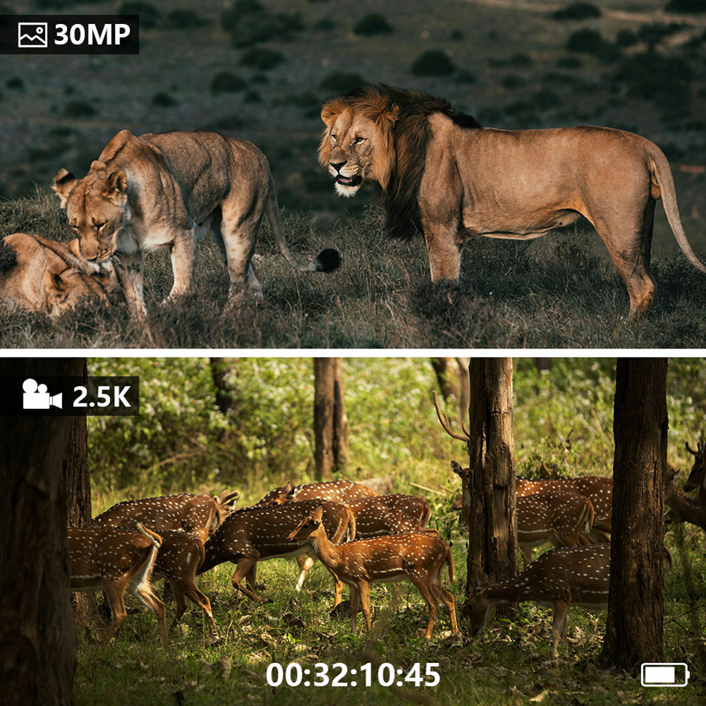 Digital Night-Vision Device Da – Hunting Outdoor Day recenzja i cena